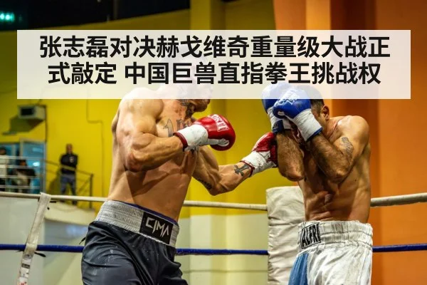 张志磊对决赫戈维奇重量级大战正式敲定 中国巨兽直指拳王挑战权