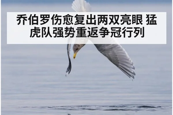 乔伯罗伤愈复出两双亮眼 猛虎队强势重返争冠行列
